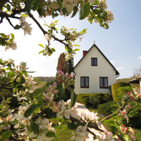 Akácos Vendégház - Kőszeg-Pogányok