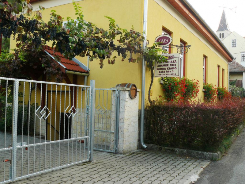 Angéla Vendégháza - Tokaj