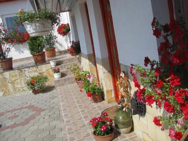 Apartman Urban - Zagyvaszántó