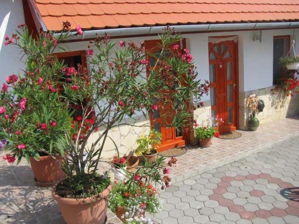 Apartman Urban - Zagyvaszántó
