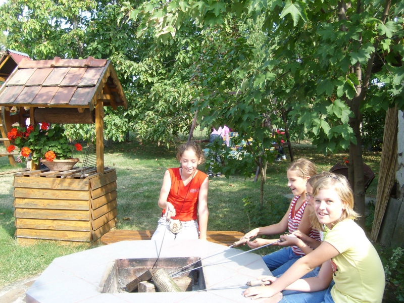 Bakos vendégház - Domoszló