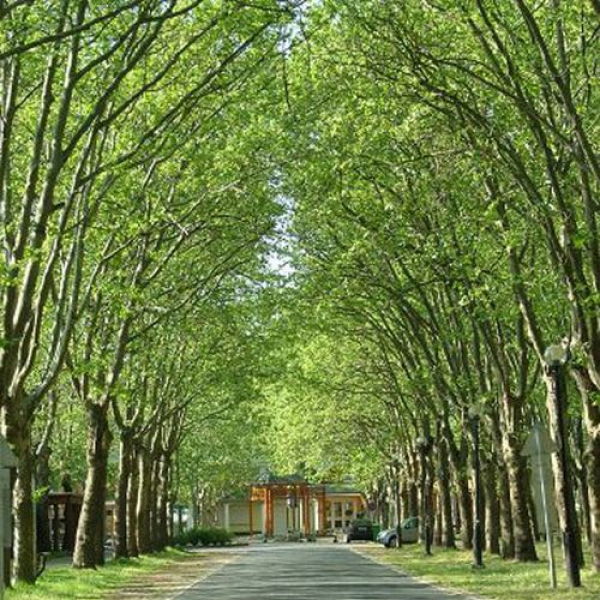 BBB Apartman - Balatonboglár