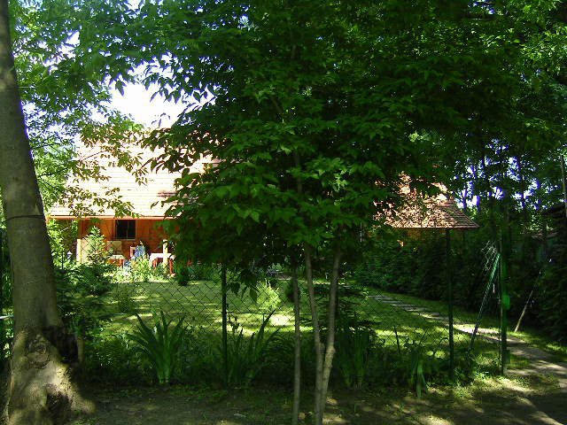 Bónom-zugi nyaraló - Gyomaendrőd