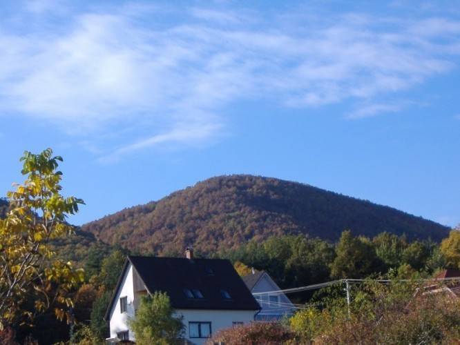 Börzsönyalja Vendégház - Diósjenő