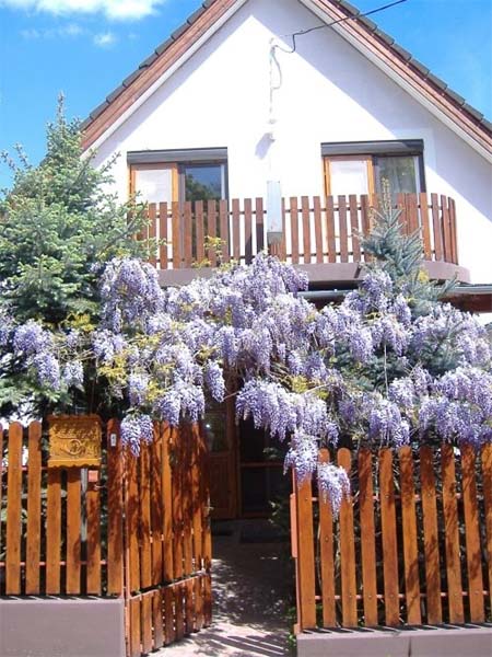 Börzsönyalja Vendégház - Diósjenő