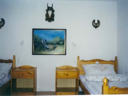 Börzsönyalja Vendégház - Diósjenő