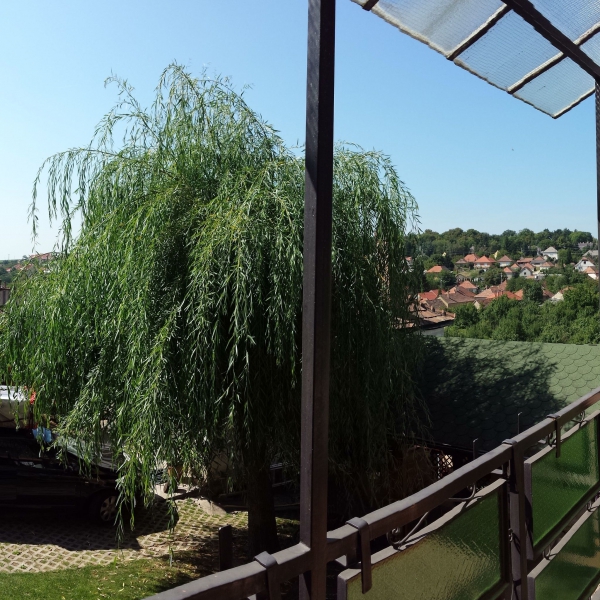 Domboldal Vendégház - Noszvaj