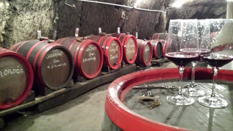Domboldal Vendégház - Noszvaj
