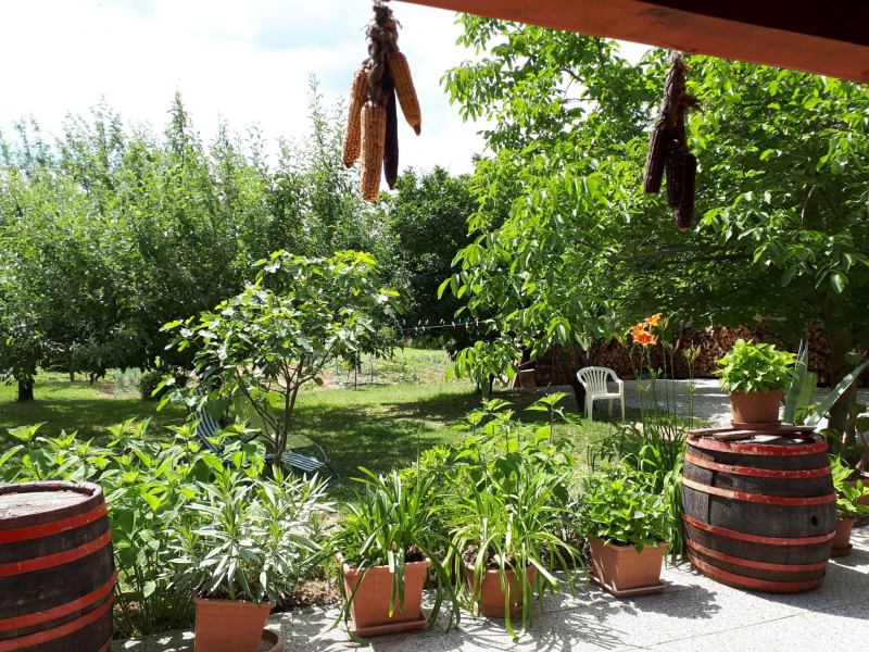 Fehér Rózsa Apartman - Cserszegtomaj