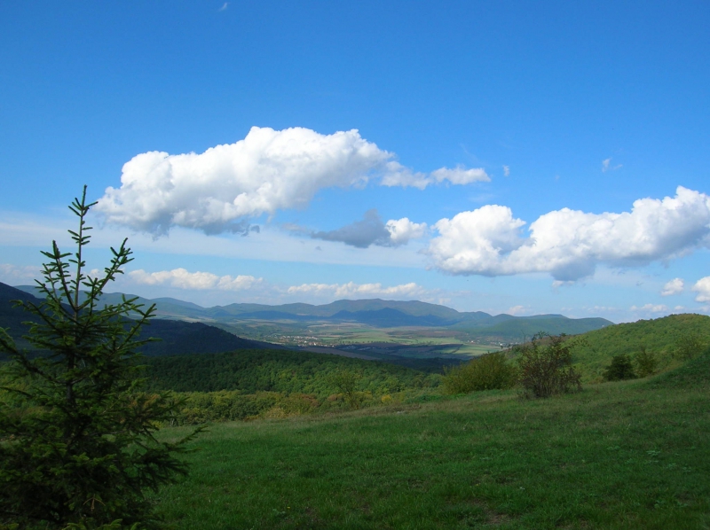 Hárs-bérc Vendégház - Vágáshuta