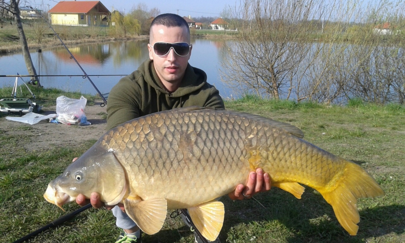 Kardos-Parti Vendégház - Hövej