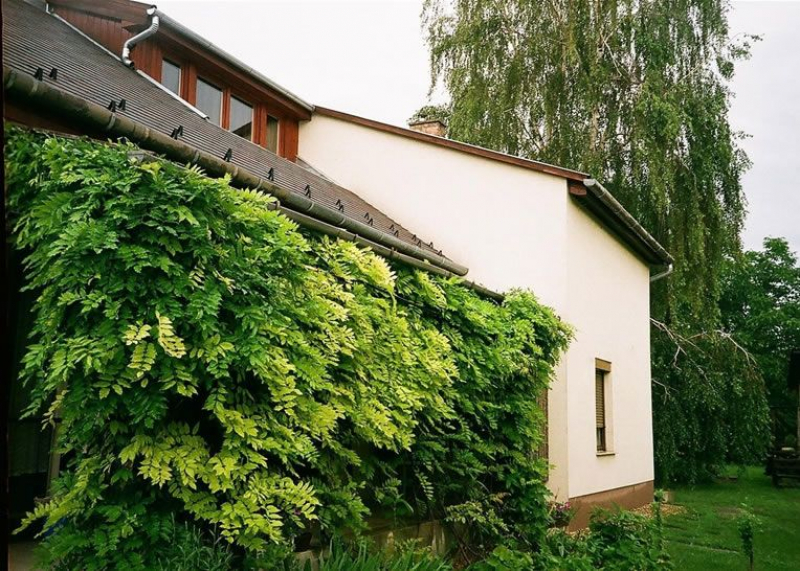 Kuckó Pihenőház
