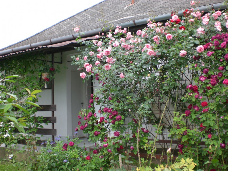 Lakatos Vendégház - Panyola