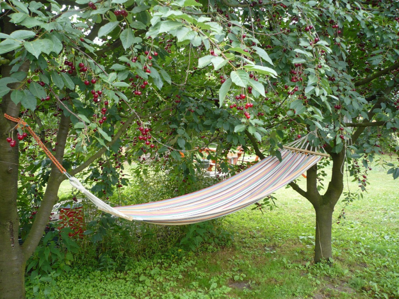 Lakatos Vendégház - Panyola