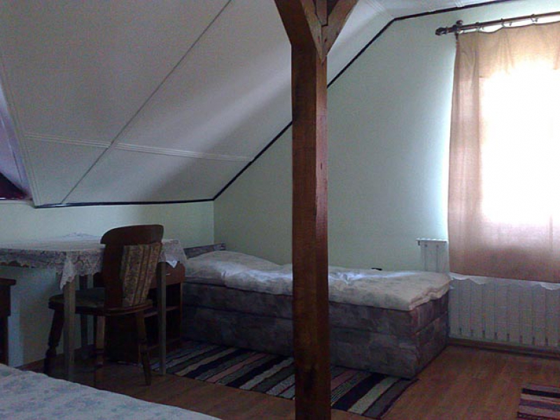 Malom Panzió és Étterem - Tarpa