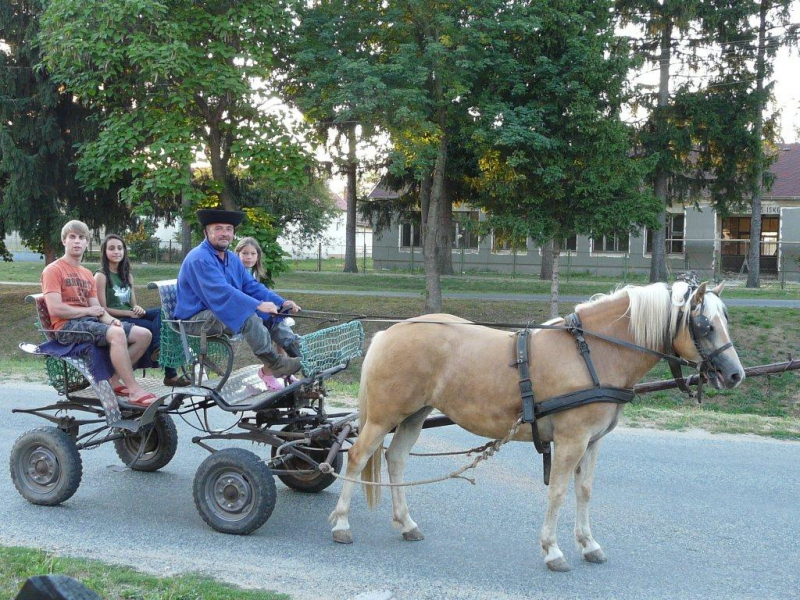 Márfi Vendégház - Magyarszerdahely