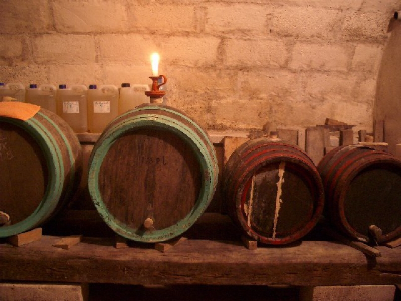 Margaréta-Bia Vendégház & Kemping - Biatorbágy