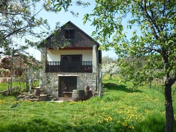 Molnár Vendégház - Velem