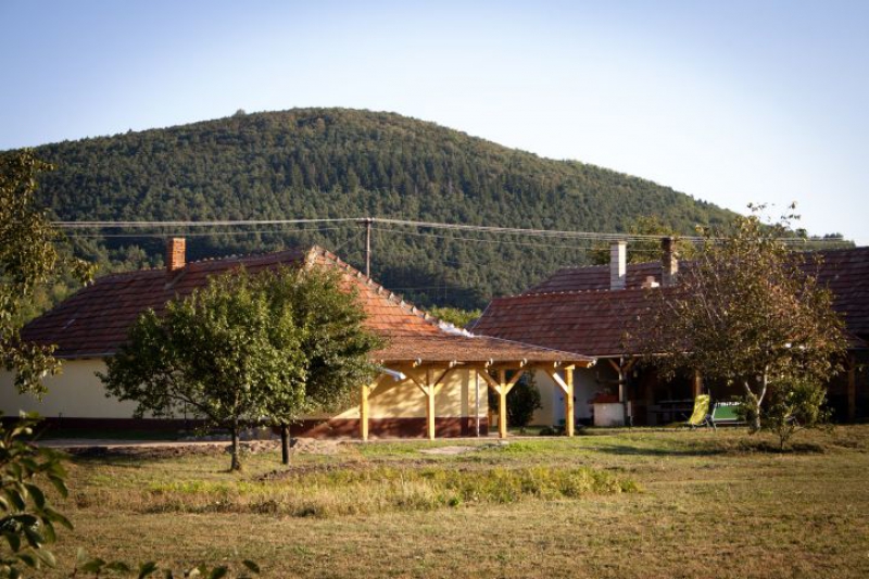 Napsugár Vendégház - Golop