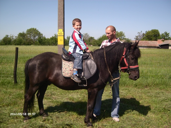 Nemes Vendégház - Szarvas