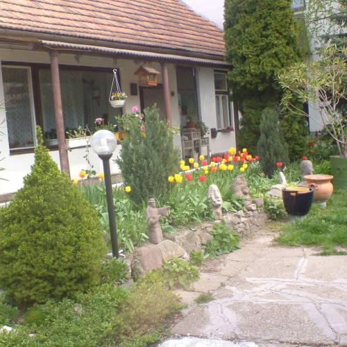 Panni Pihenőház Szentendre - Szentendre