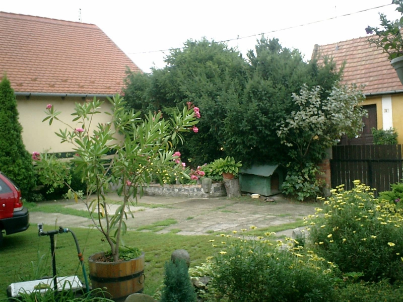 Panni Pihenőház Szentendre - Szentendre