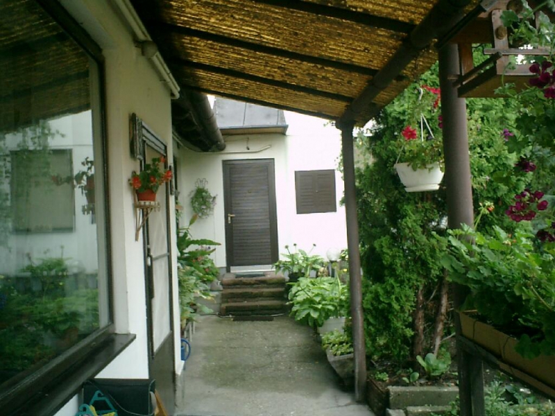 Panni Pihenőház Szentendre - Szentendre
