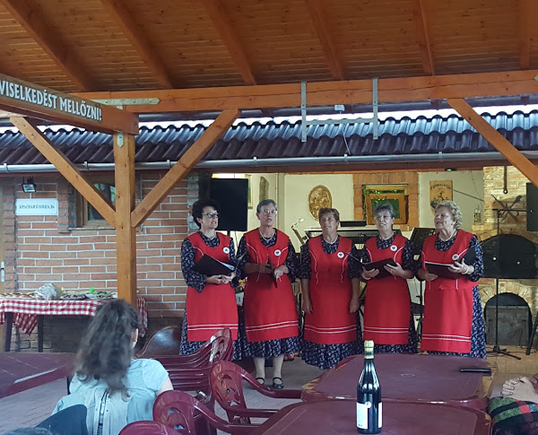 Pesti Patikus Pincéje és Vendégháza - Tibolddaróc