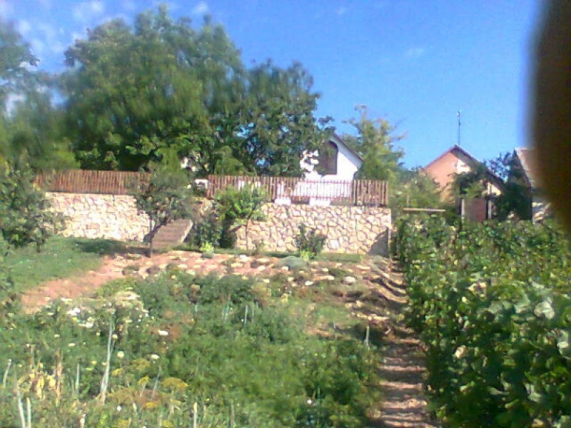 Rittinger-ház - Nagynyárád