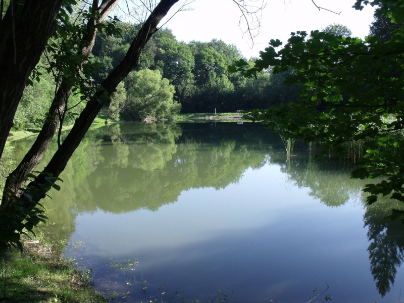 Sebesvíz Panzió és Étterem - Miskolc-Lillafüred