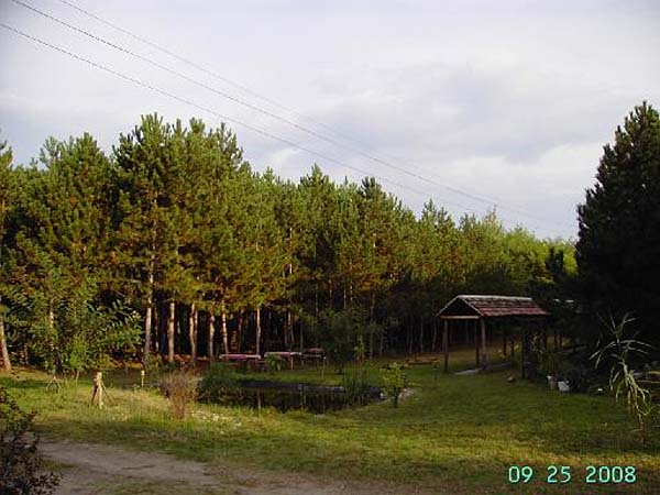 Strázsa tanya - Szabadszállás
