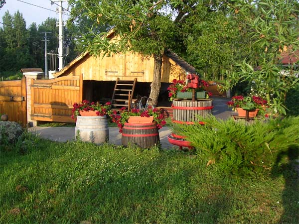 T.bor Vendégház - Nagyréde