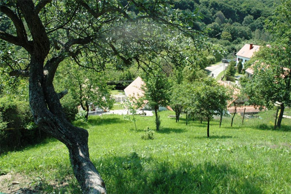 Vackor Vendégház - Hosszúhetény