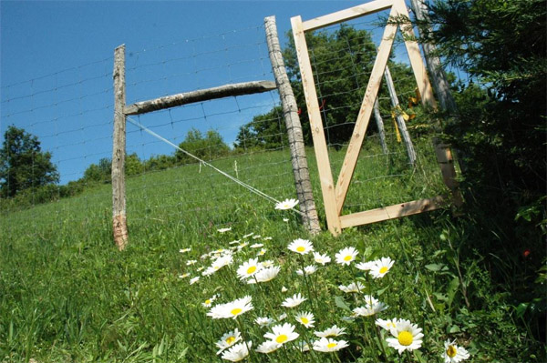 Vackor Vendégház - Hosszúhetény